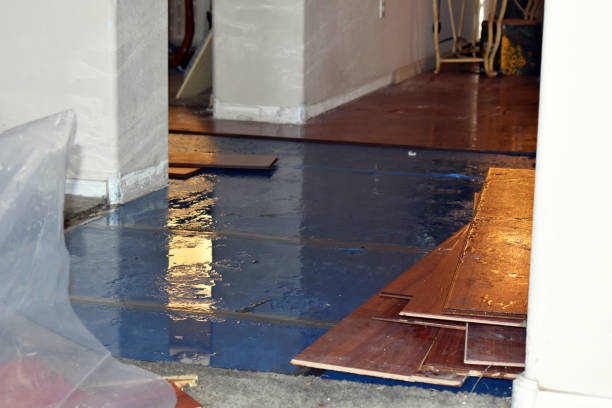 Professional Basement Flood Cleanup technician working in Canal Point, FL
